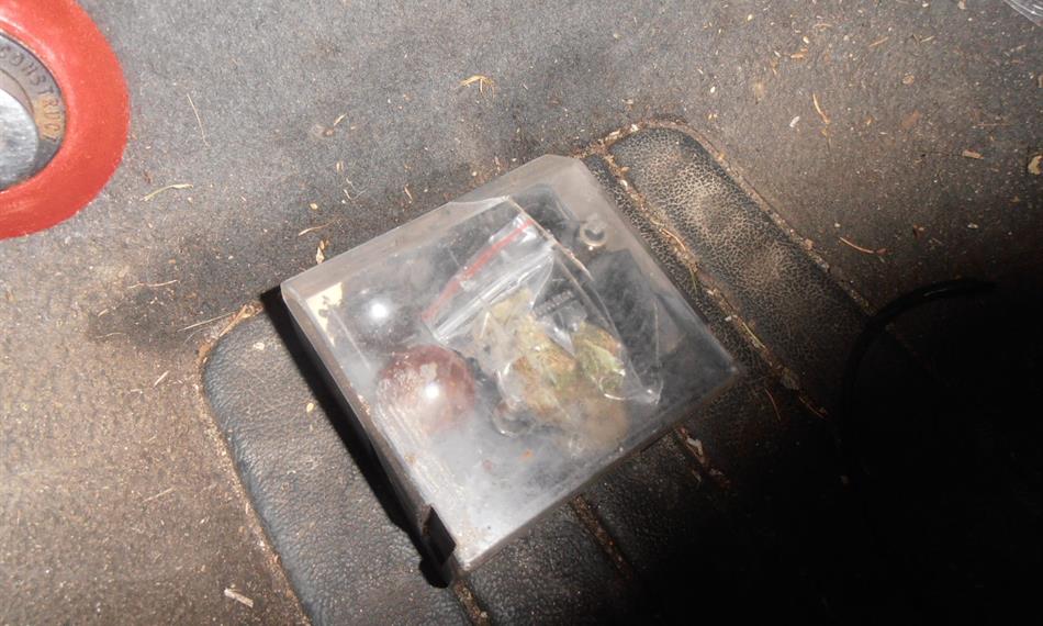 2013-11-18-1031drogy 5.JPG